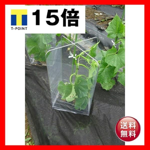 〔5セット入〕 かんたん苗カバーセット 植物保護キット 設置時：幅18cm 日本製 〔園芸 ガーデニング フラワー用品〕 227