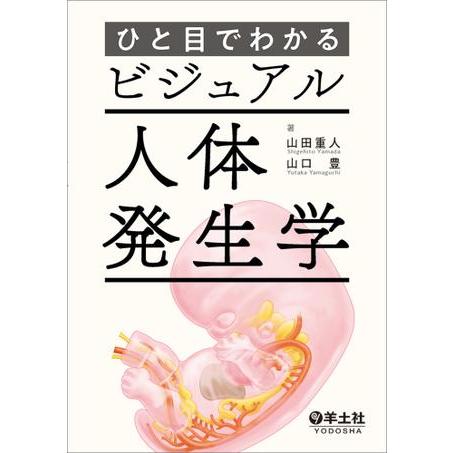 ひと目でわかるビジュアル人体発生学