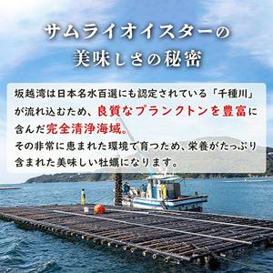 ふるさと納税 牡蠣 生食 坂越かき むき身 500g(サムライオイスター) 生牡蠣 冬牡蠣 兵庫県赤穂市