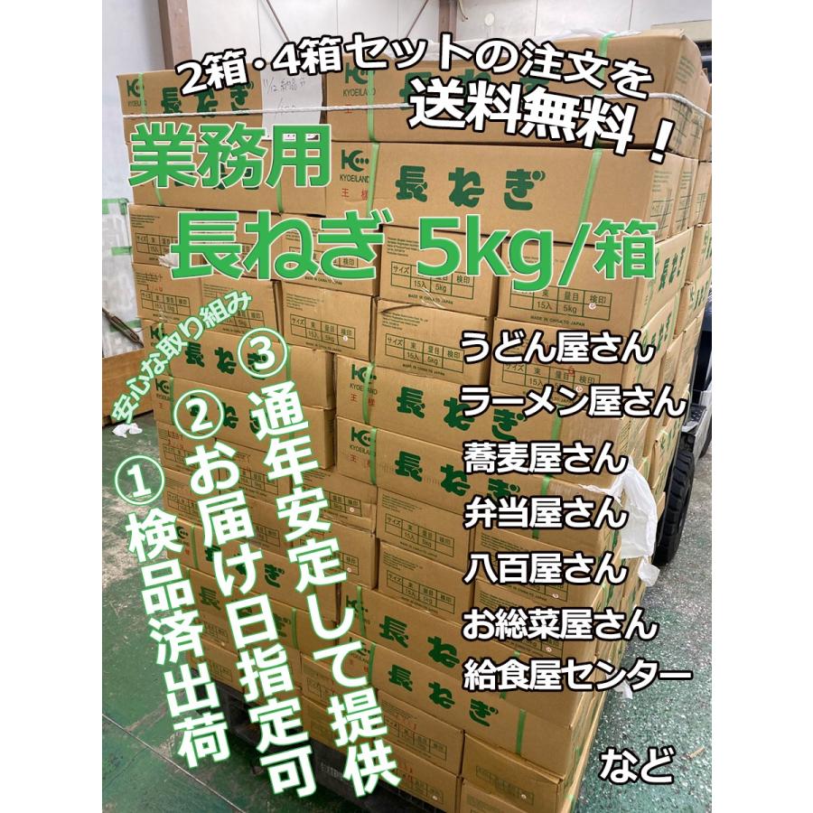 長ねぎ 20kg ＜5キロ×4箱＞業務用 中国産 箱売 使いやすい太い長葱 コスパ最強ねぎ まとめ買いがお得 安心供給 安定品質 ＜安心の国内検品＞＜クール便送料込＞