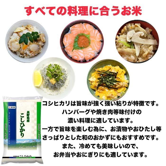 こしひかり 20kg 5kg×4 令和4年産 米 お米 白米 おこめ 精米 単一原料米 ブランド米 20キロ 送料無料 国内産 国産