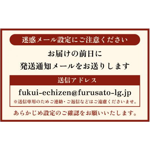 ふるさと納税 福井県 越前町  越前がに本場の越前町からお届け！ 越前がに 浜茹で 大サイズ（生で0.9〜1.1kg） × 1杯【福井県 越…