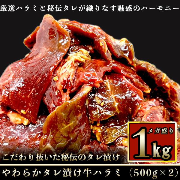 牛肉 肉 牛ハラミ 訳あり タレ漬け 赤身肉 焼肉 はらみ さがり １kg 500g×2p 厚切り お得 安い メガ盛り 小分け 業務用 バーベキュー 冷凍