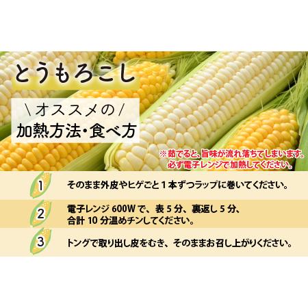 ふるさと納税 秋とうもろこし 黄色 白色 計5本 おおもの 朝採り ／ 期間限定 数量限定 ハウス栽培 産地直送 甘い ミックス スイー.. 福井県あわら市