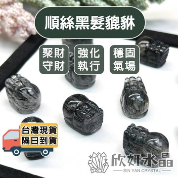 【欣小妞】黑髮晶 髮晶 5A級順絲黑髮晶貔貅 黑髮貔貅 水晶貔貅 貔貅通孔 DIY材料 水晶材料 天然水晶