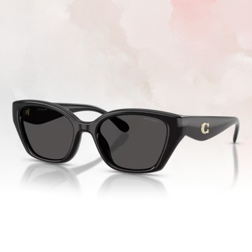 【COACH】貓眼膠框太陽眼鏡(HC8434U-500287)