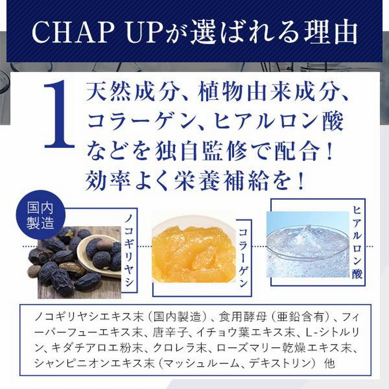 チャップアップ CHAP UPⅢ サプリメント 120粒 ×3袋 チャップアップ CHAP UPⅢ サプリメント 120粒 ×3袋