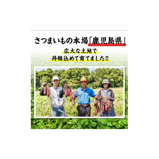 ふるさと納税 鹿児島県 鹿屋市 1931 蜜 焼き芋 3kg （500g×6袋） 冷凍 焼いも 紅はるか 鹿児島産