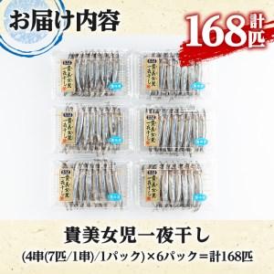 ふるさと納税 akune-2-214 貴美女児一夜干し(計168匹・28匹×6パック)国産 干物 ひもの キビナゴ きびなご 魚介 乾物 おつまみ おかず【.. 鹿児島県阿久根市