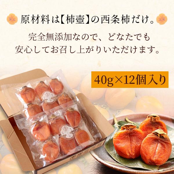 柿農家「柿壺」の西条柿の干し柿12個入（簡易パッケージ） セミドライ 添加物不使用 島根県産 柿 送料無料（北海道・沖縄を除く）