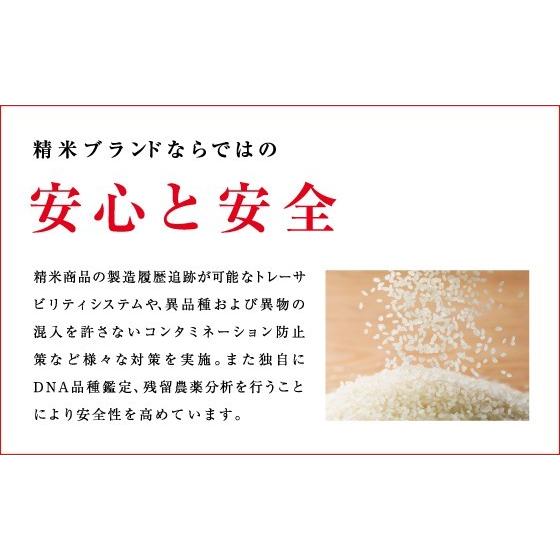 新米 特A 精米 新潟 魚沼産コシヒカリ 10kg 伊丹米 令和5年産 魚沼 こしひかり お米 送料無料 精米 ギフト 内祝い  のし承ります