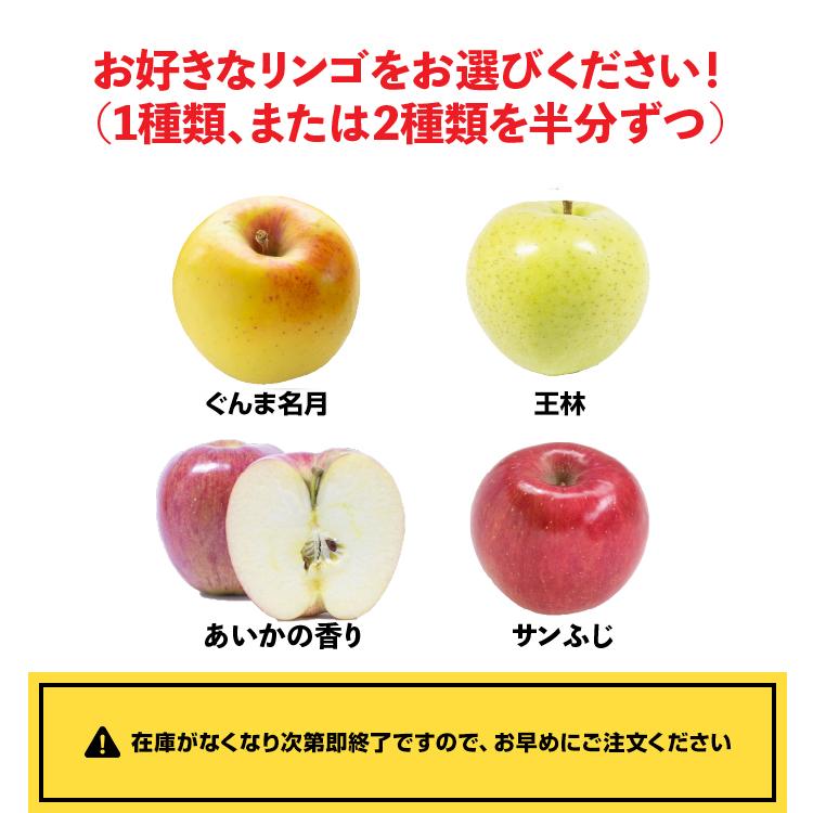 訳ありりんご 5kg 20玉前後 訳あり 青森県産 送料無料 葉取らずりんご 蜜入り サンふじ リンゴ 林檎 お得用 果物 フルーツ ５kg