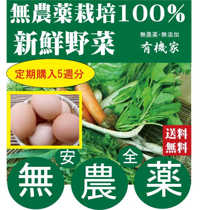 定期購入毎週お届け・旬の無農薬100％野菜セット平飼い卵10個×５週分（ ・月、金曜日発送）