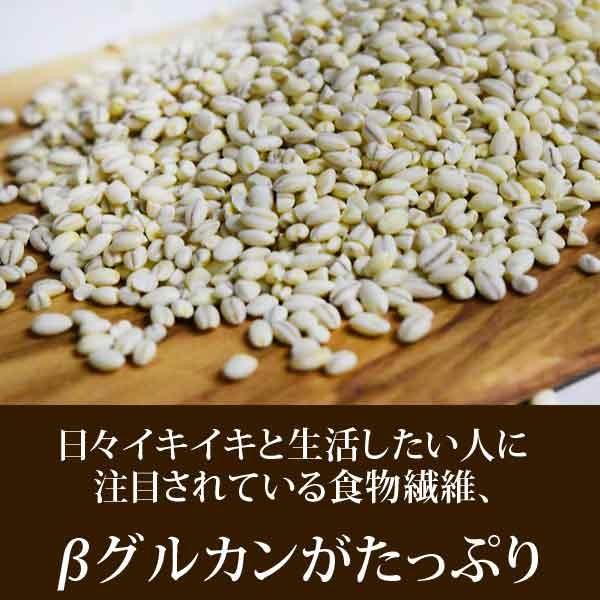 レジスタントスターチ グルメもち麦 もちむぎ 900g (訳あり わけあり) 大麦 βグルカン 送料無料 セール スーパーフード