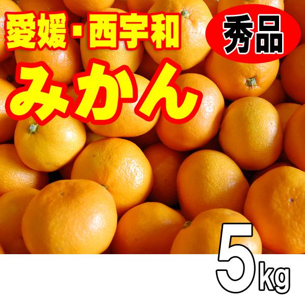 愛媛みかん　秀品お歳暮ギフト贈答用　愛媛西宇和産　八幡浜　５ｋｇ　送料無料　11月中旬から発送　産地直送温州みかん