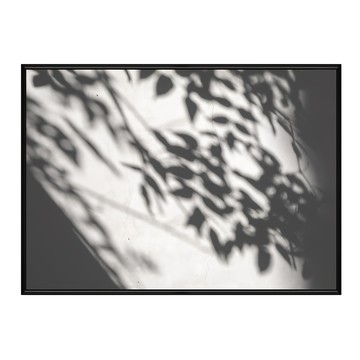 BOLUO GALLERY 菠蘿選畫所 植光掠影I  42 x 59.4cm  黑色框  1入