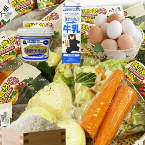 時短食材 野菜セット 9品 送料無料 カット野菜 送料込 通販 野菜セット 詰め合わせ 九州 お買い得