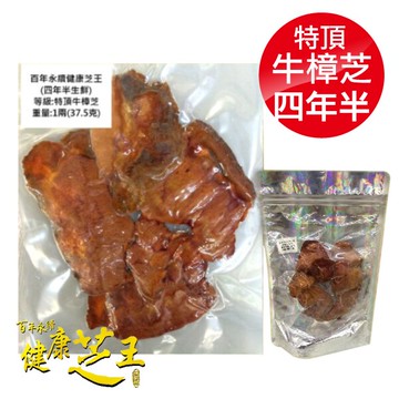 百年永續健康芝王 (四年半) 特頂牛樟芝 生鮮品 37.5g x1兩 (母親節禮盒 長輩 送禮 伴手禮)專品藥局【2012414】