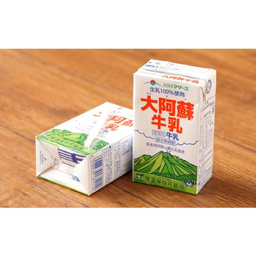 ふるさと納税 熊本県 宇城市 大阿蘇牛乳 250ml×24本 1ケース 生乳 100% ミルク 成分無調整牛乳