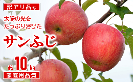  〈訳あり品 家庭用〉 JA りんご 「サンふじ」 約10kg (28玉～46玉) 《令和6年11月中旬～12月中旬発送》 『JA山形おきたま』 山形県 南陽市 [1410]