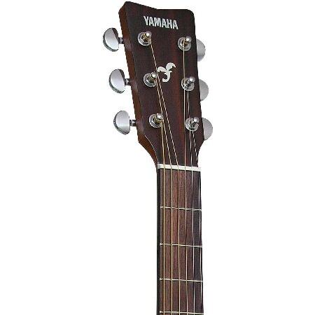 [ヤマハ]Yamaha Solid Top Acoustic Guitar FG800 [並行輸入品]並行輸入