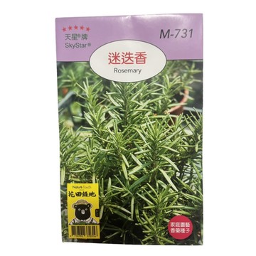 【向花緣】天星牌 迷迭香 - 香藥草種子