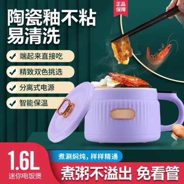 110v跨境出口小家電迷你電飯煲1-2人家用電飯鍋1.6L智能煮飯鍋
