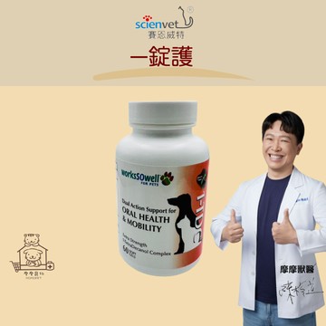 【動物醫院直送】免運隔日配 scienvet 賽恩威特 一錠護 犬貓 寵物 口腔保健 口炎 口臭 牙周 原廠授權 防偽標