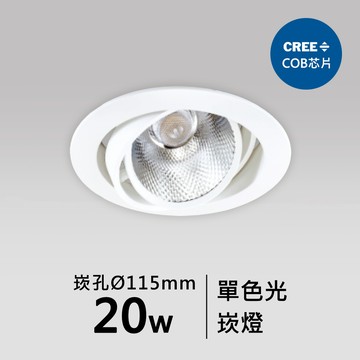 【崁入孔11.5公分】20W崁燈｜F05-CT-60903-B