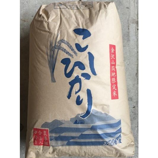 こしひかり 玄米 30kg 新米　令和５年度 石川産 送料無料