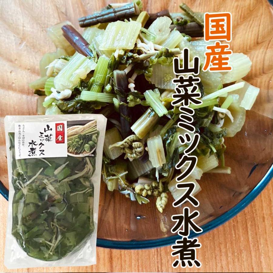 国産　山菜ミックス　水煮　100ｇ