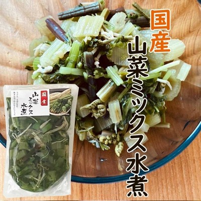 国産 山菜ミックス 水煮 100ｇ | LINEショッピング