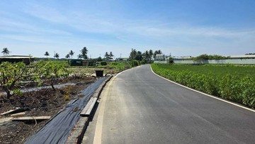 路竹下坑臨路大面寬農地｜高雄市路竹區福善段