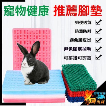 【台灣出貨】寵物兔子腳墊 防啃咬兔籠墊子 防濺 豚鼠 防咬漏糞腳底板 兔子防滑腳墊 小寵腳墊 防滑防刮腳墊