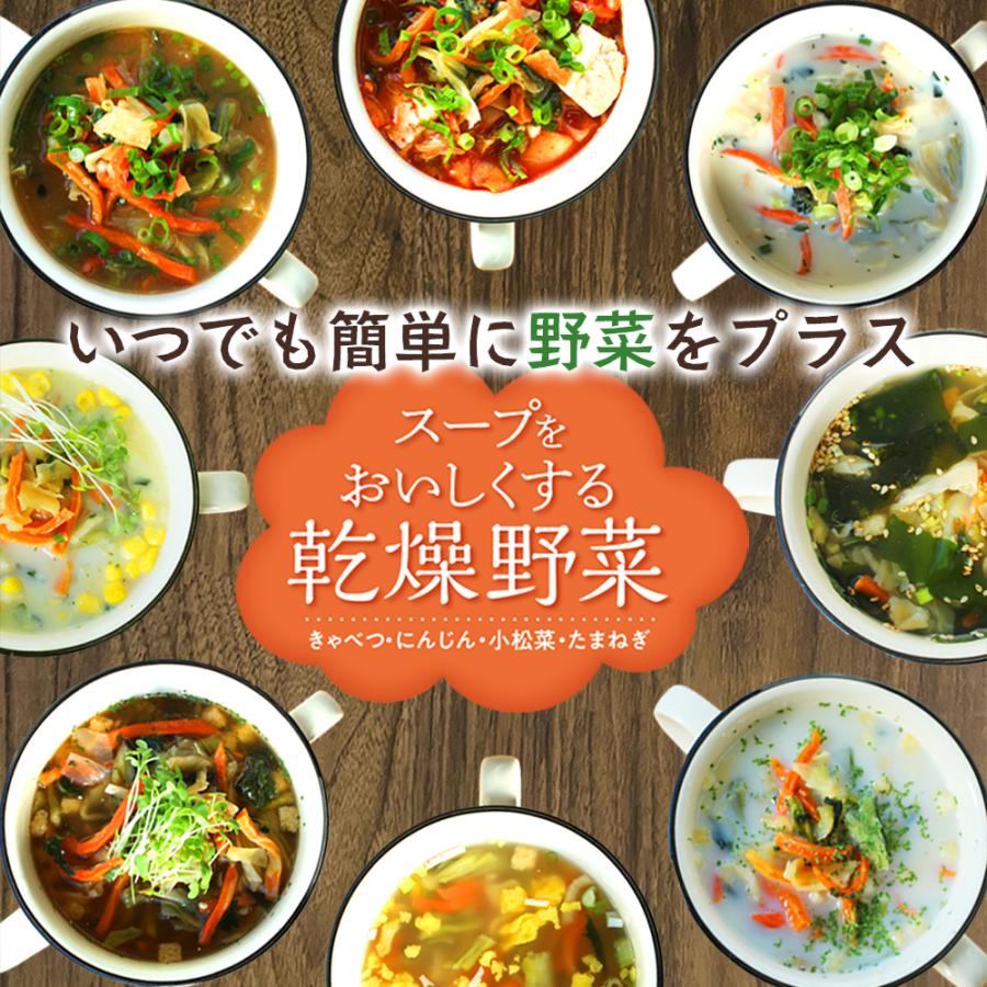 乾燥野菜ミックス 国産 味噌汁の具 乾燥 ラーメン具材 常備菜 玉ねぎ にんじん キャベツ 小松菜 時短料理 一人暮らし スープ 汁物 ドライベジ