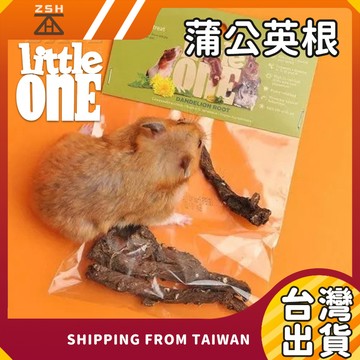 LittleOne 蒲公英根 榛果枝 倉鼠用品 倉鼠磨牙棒 磨牙用品 倉鼠 天竺鼠  磨牙石 倉鼠磨牙棒 磨牙蘋果支