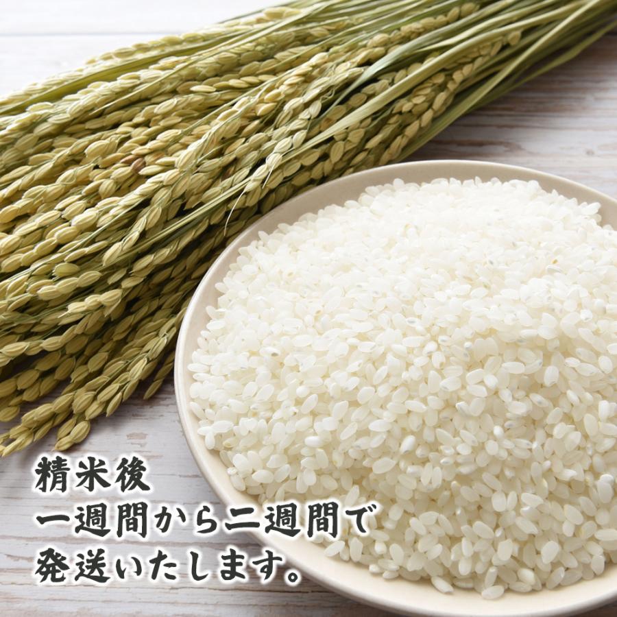 セール 新米 令和5年産 北海道産 ななつぼし 90kg(5kg×18袋) 米 単一原料米 お米 白米 ヘルシー＆スマイル