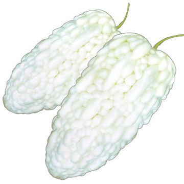 【拈花微笑】大美珠白苦瓜｜種子｜5粒｜非基因改造種子｜蔬菜｜蔬果｜有機無毒｜高發芽率