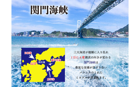 深海の恵み 関門の塩 合計1000g (100g×10袋) ミネラル 塩 調味料 塩分濃度86.1％ カルシウム マグネシウム カリウム しお 少量 小分け