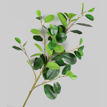 仿真圓葉榕樹枝百搭綠葉書房客廳擺件插花ins文藝小清新綠植樹葉