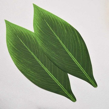 仿真樹葉 假樹葉 10片假粽子葉仿真粽子葉端午節裝飾單片假樹葉假綠葉學校節日活動葉子