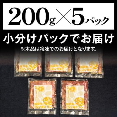 ふるさと納税 妹背牛町 妹背牛ラムジンギスカン塩レモン(1,000g)　AA022