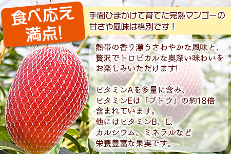 予約受付！数量限定！＜宮崎県産 完熟マンゴー A等級 2Lサイズ×2玉（合計約700g）＞2024年4月下旬～6月末迄に順次出荷