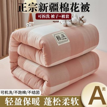 2025新款無印風親膚水洗棉新疆棉花被可拆洗被子被芯冬被春秋被