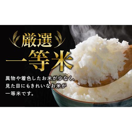 ふるさと納税 新米 玄米 コシヒカリ 30kg お米 贈答 美味しい 米 kome コメ ご飯 特A ランク 一等米 単一米 精米 玄米 国.. 福島県田村市