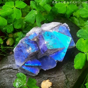 土桑精選:英國日光螢石水光精品AF25-43 Aura Fluorite ~Rogerley、Diana Maria