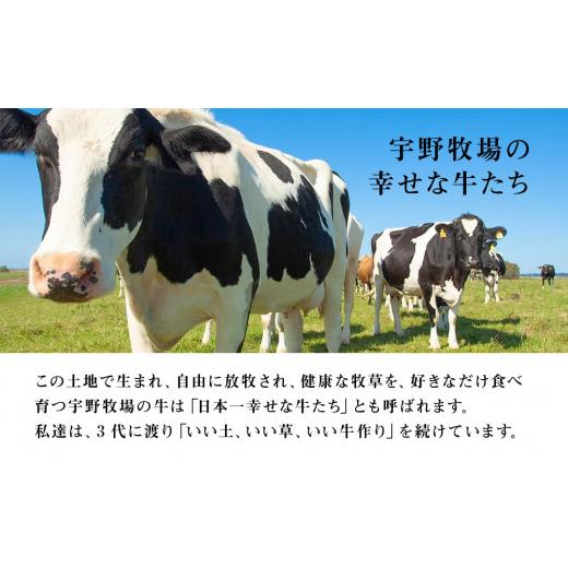 ふるさと納税 北海道 天塩町 オーガニック ドリンク ヨーグルト 200g×6本