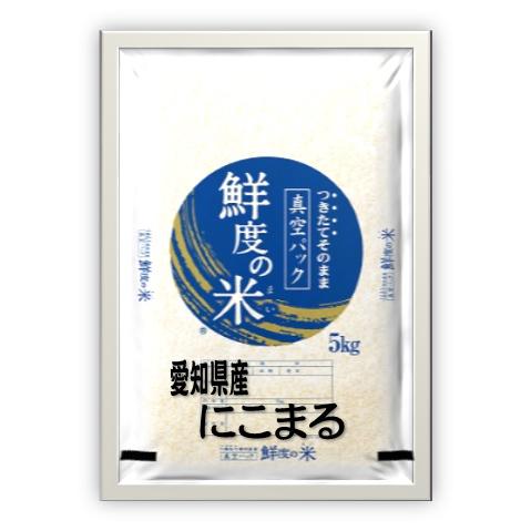 愛知県産　にこまる　令和5年産　無洗米　備蓄米　5kg 真空パック　送料無料（本州のみ）