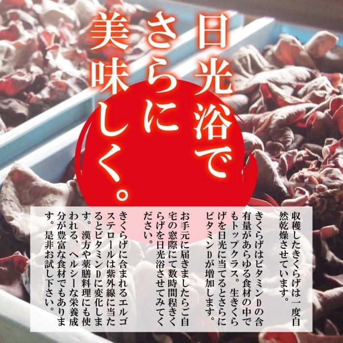 きくらげ 生 国産 500g 北海道産 生きくらげ 送料無料 無農薬 ビタミンD 菌床 栽培 キクラゲ 冷蔵 お取り寄せ 食物繊維 しゃぶしゃぶ 天ぷら わさび醤油