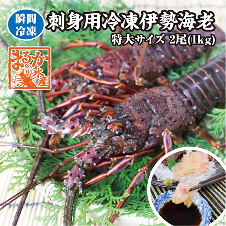 送料無料 刺身用冷凍伊勢海老 特大サイズ 1kｇ 2尾入（活〆冷凍）